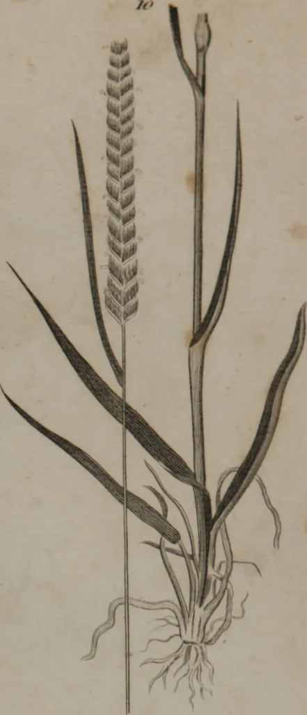 An illustration from A dictionary of arts and sciences (Volume 2), 1815, leaf 922