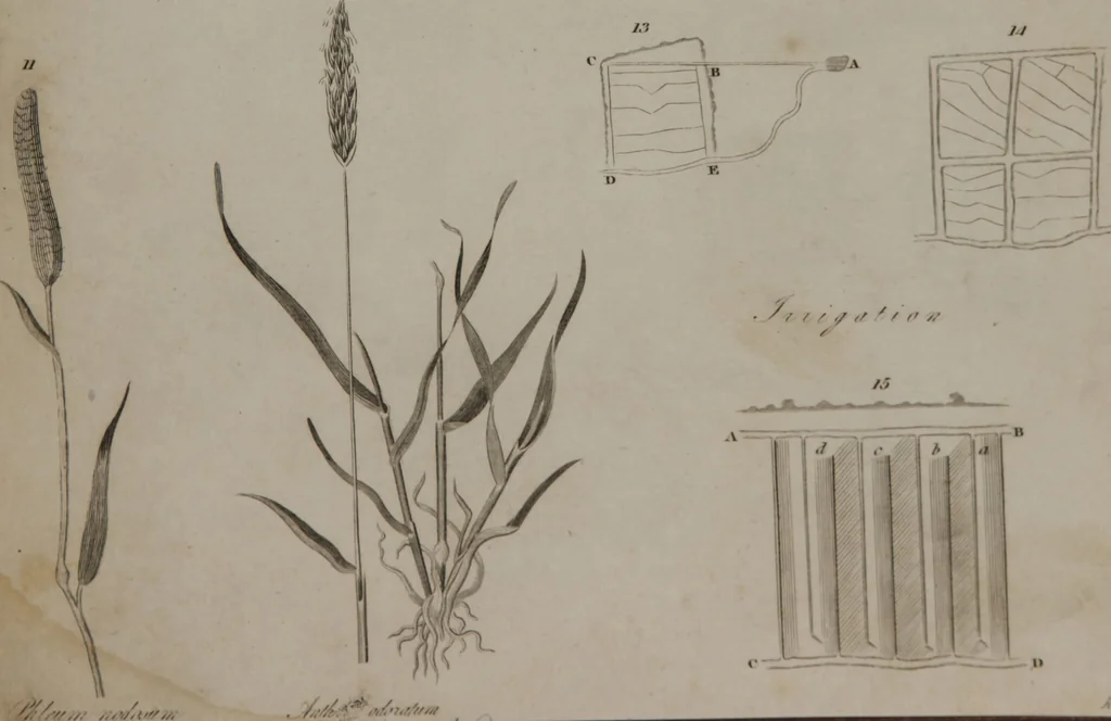 An illustration from A dictionary of arts and sciences (Volume 2), 1815, leaf 922