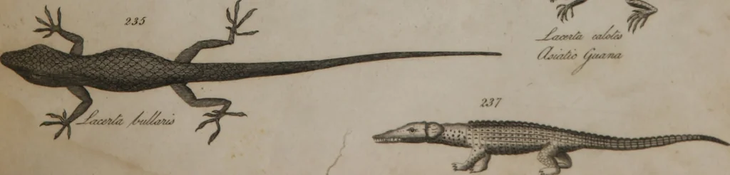 An illustration from A dictionary of arts and sciences (Volume 2), 1815, leaf 932