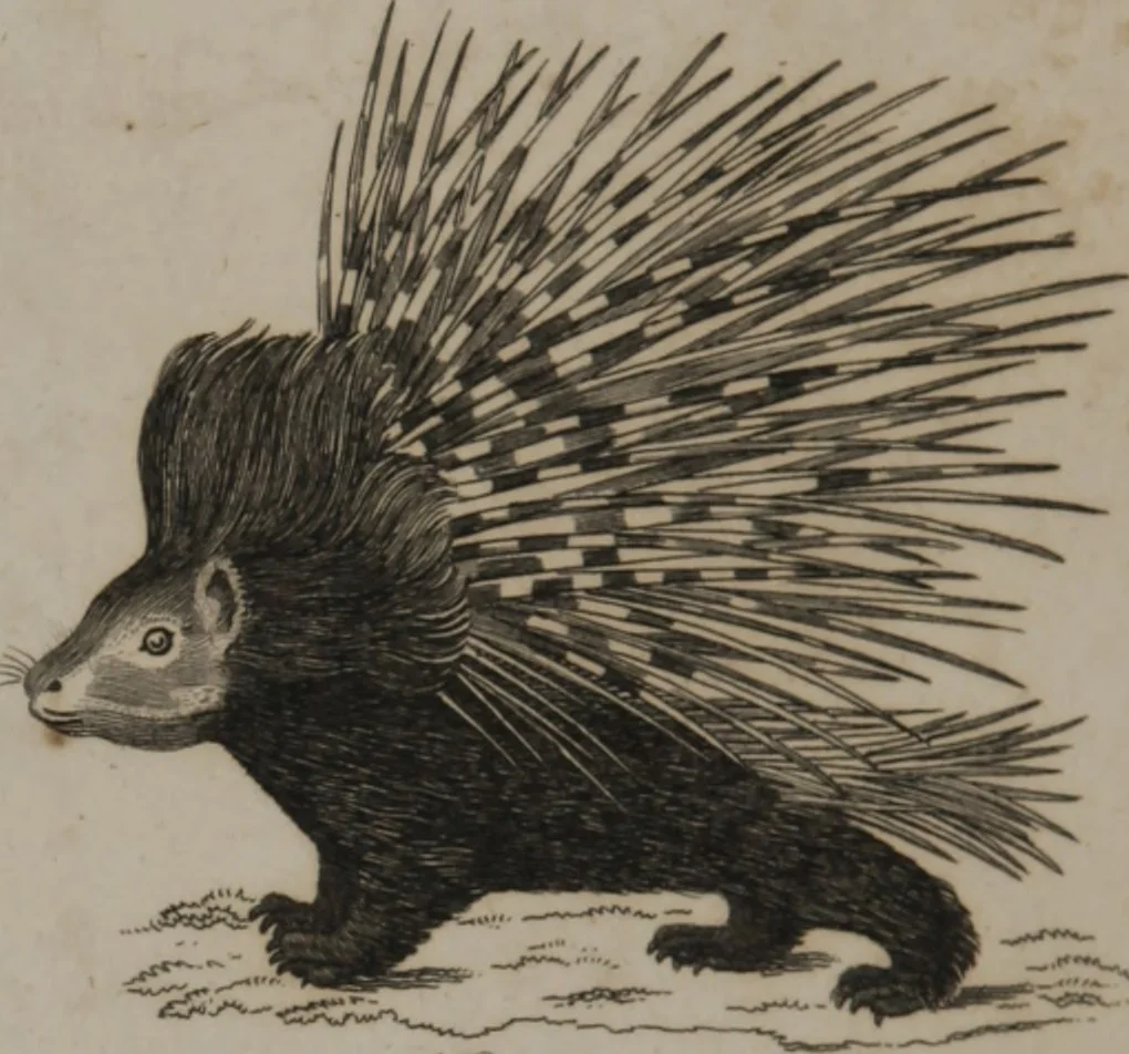 An illustration from A dictionary of arts and sciences (Volume 2), 1815, leaf 932
