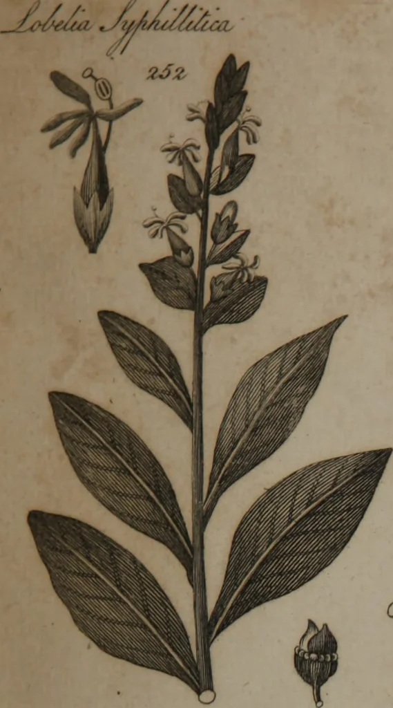 An illustration from A dictionary of arts and sciences (Volume 2), 1815, leaf 952
