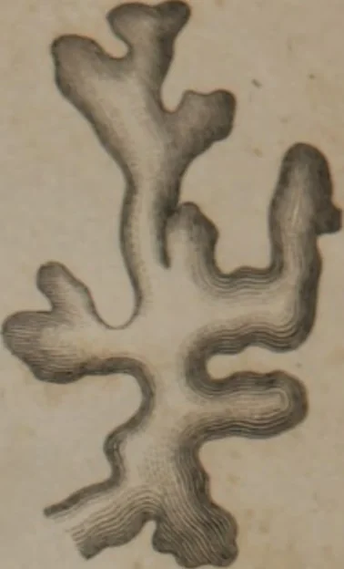 An illustration from A dictionary of arts and sciences (Volume 2), 1815, leaf 956