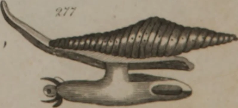 An illustration from A dictionary of arts and sciences (Volume 2), 1815, leaf 956