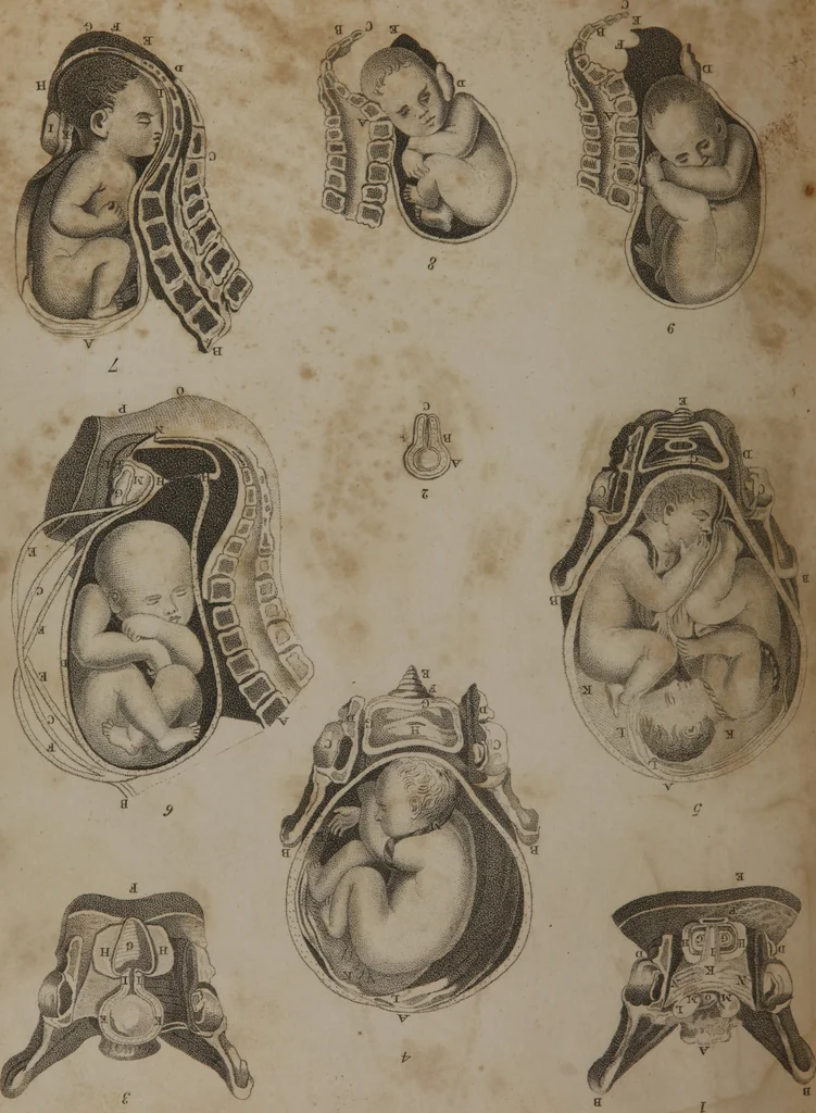 An illustration from A dictionary of arts and sciences (Volume 2), 1815, leaf 963