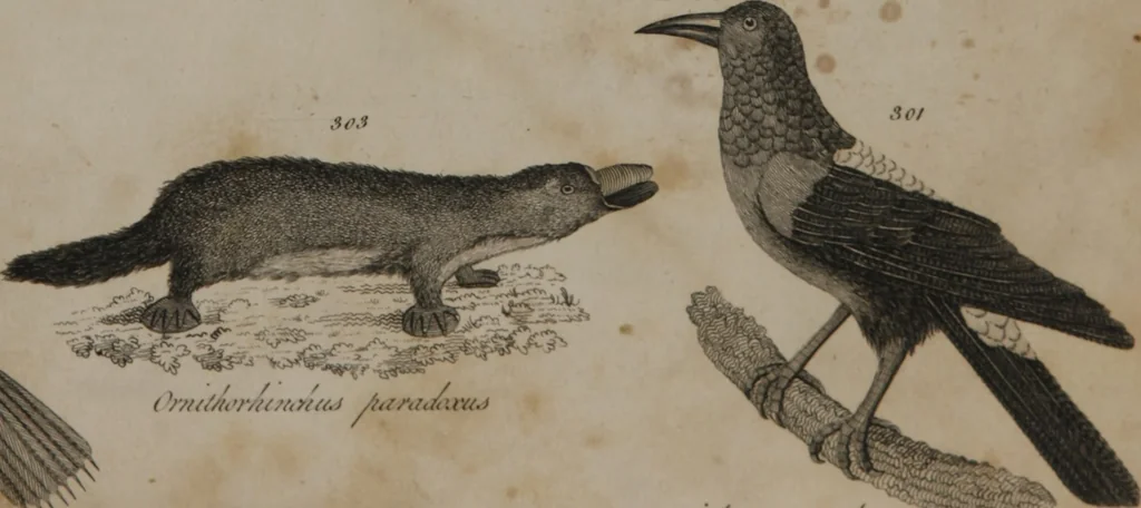 An illustration from A dictionary of arts and sciences (Volume 3), 1815, leaf 936