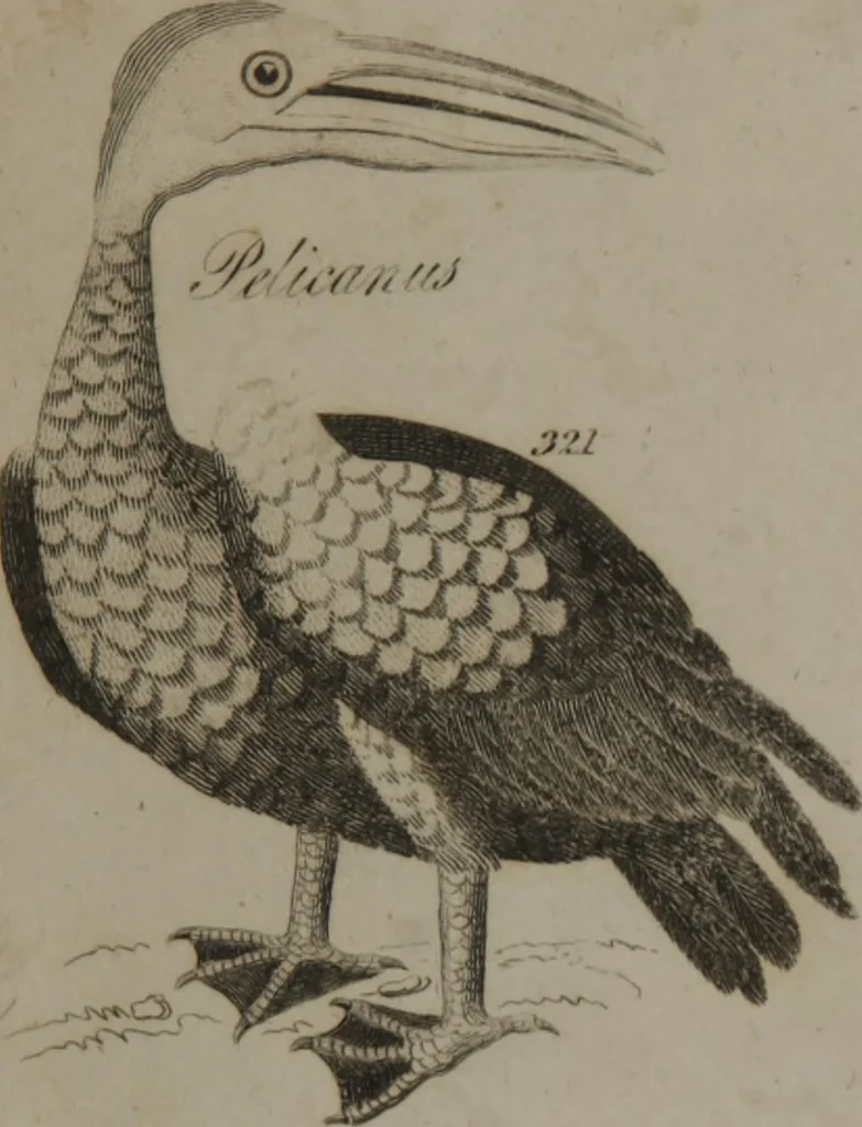 An illustration from A dictionary of arts and sciences (Volume 3), 1815, leaf 942