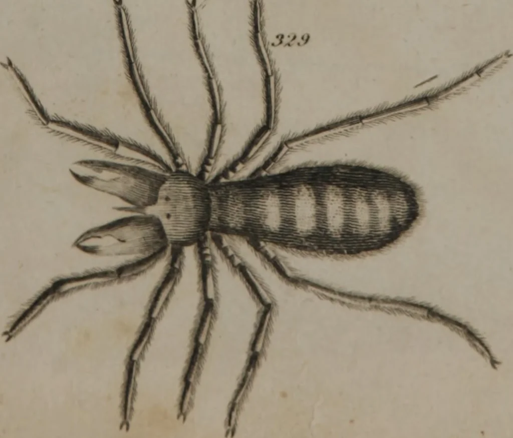 An illustration from A dictionary of arts and sciences (Volume 3), 1815, leaf 942