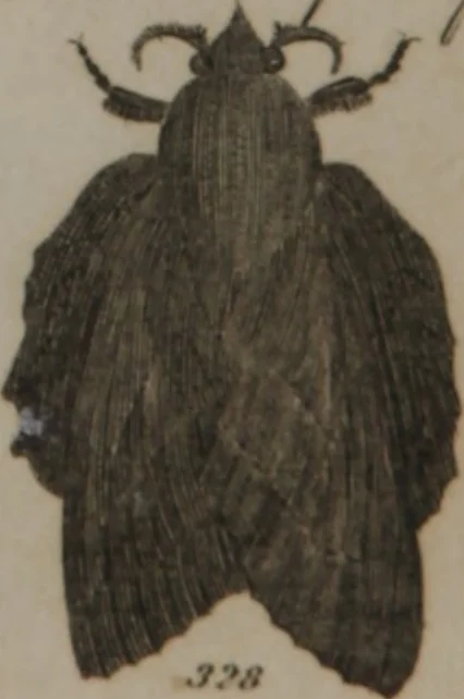 An illustration from A dictionary of arts and sciences (Volume 3), 1815, leaf 942