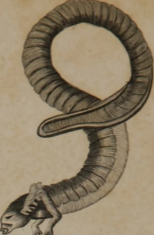 An illustration from A dictionary of arts and sciences (Volume 3), 1815, leaf 962