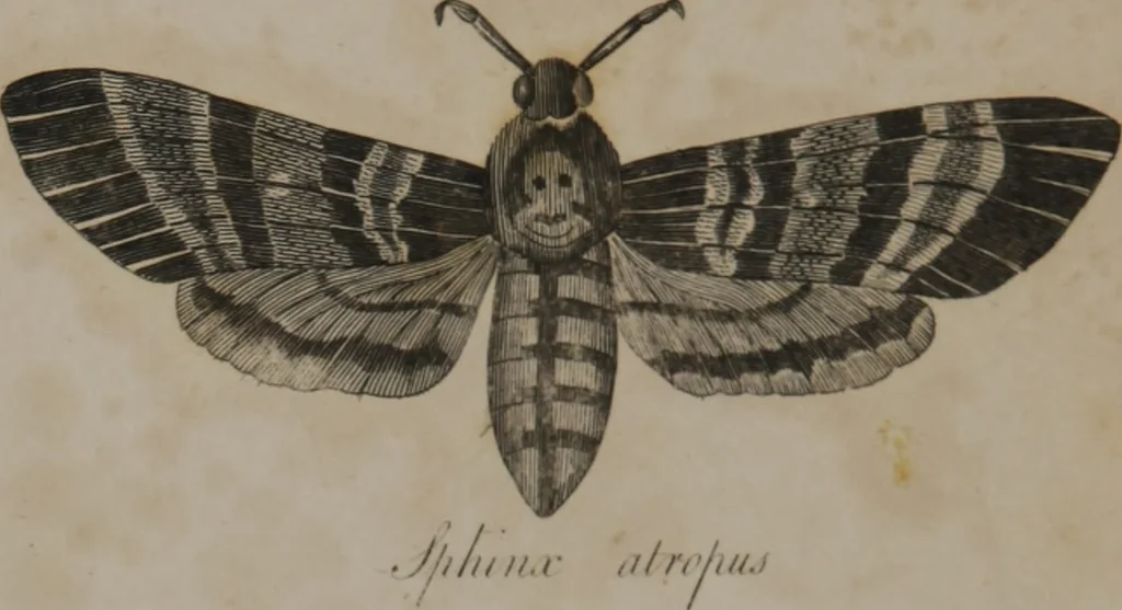 An illustration from A dictionary of arts and sciences (Volume 3), 1815, leaf 962