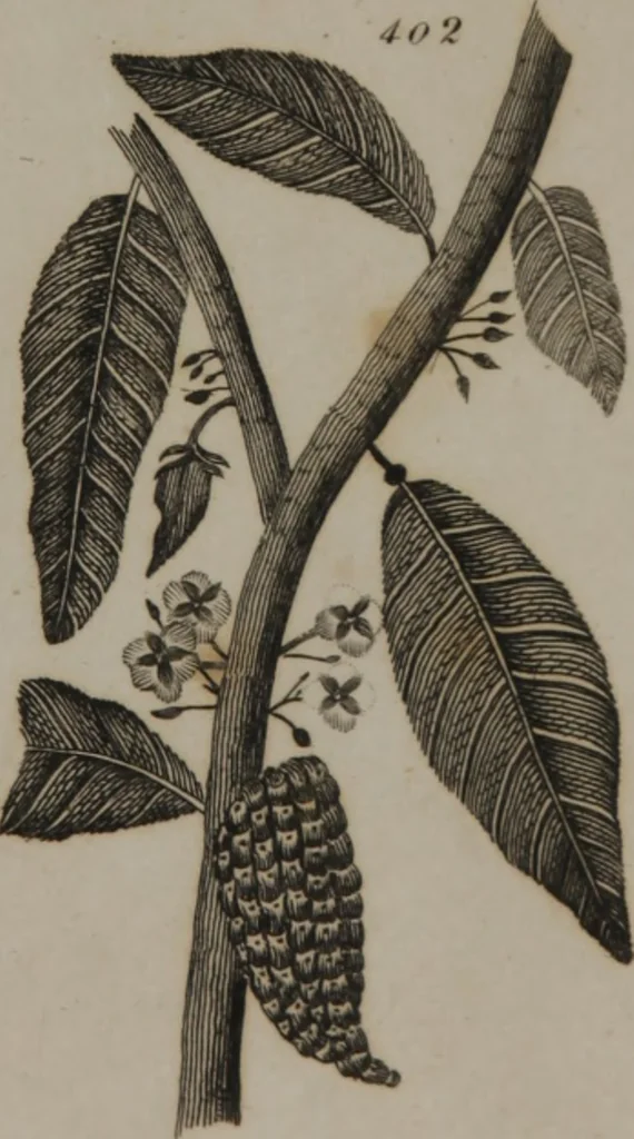 An illustration from A dictionary of arts and sciences (Volume 3), 1815, leaf 992