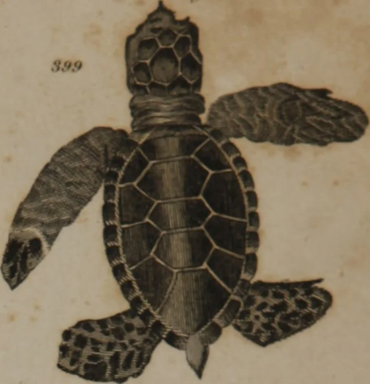 An illustration from A dictionary of arts and sciences (Volume 3), 1815, leaf 992