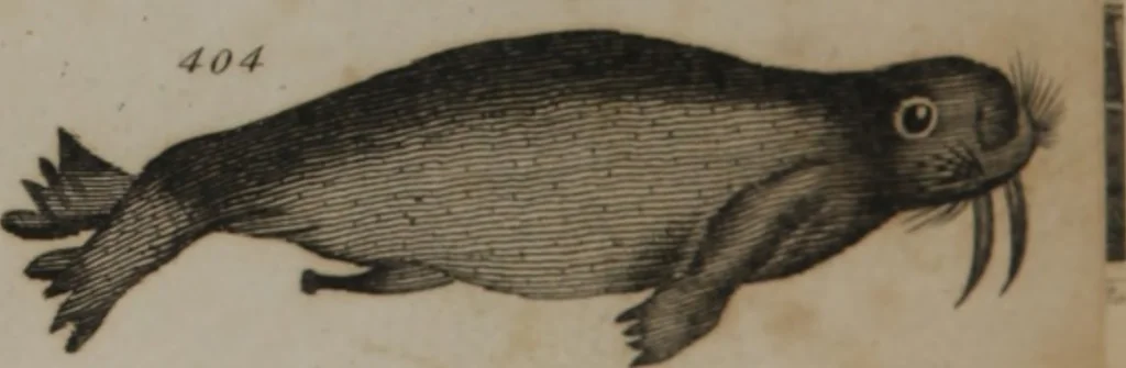 An illustration from A dictionary of arts and sciences (Volume 3), 1815, leaf 992