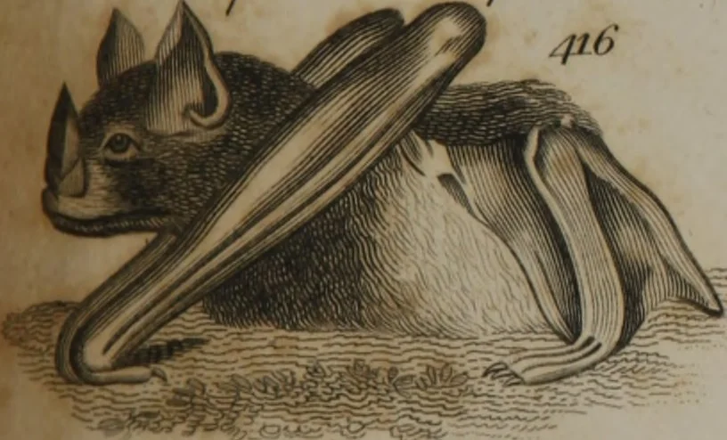 An illustration from A dictionary of arts and sciences (Volume 3), 1815, leaf 994