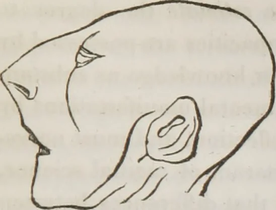 An illustration from Lectures on phrenology : including its application to the present and prospective condition of the United States, 1839, leaf 140