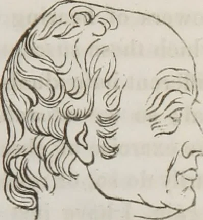 An illustration from Lectures on phrenology : including its application to the present and prospective condition of the United States, 1839, leaf 140