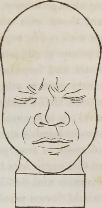An illustration from Lectures on phrenology : including its application to the present and prospective condition of the United States, 1839, leaf 198