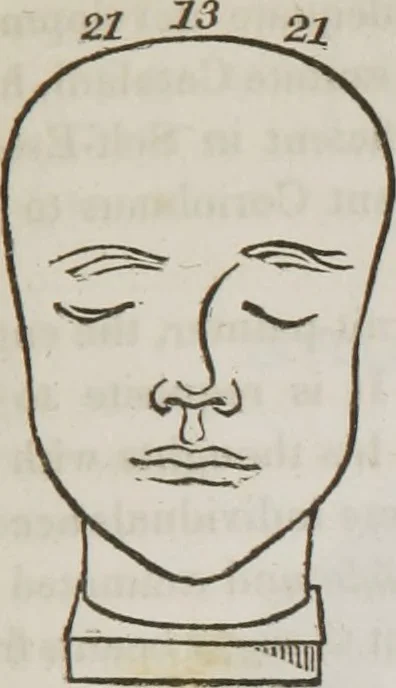 An illustration from Lectures on phrenology : including its application to the present and prospective condition of the United States, 1839, leaf 232