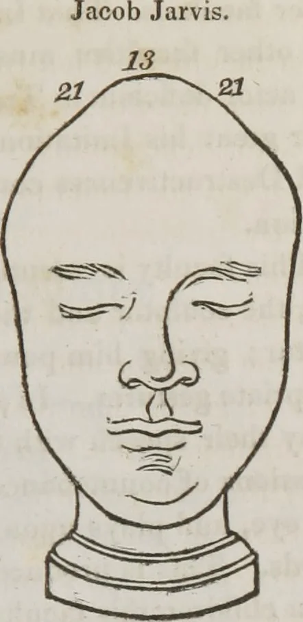 An illustration from Lectures on phrenology : including its application to the present and prospective condition of the United States, 1839, leaf 232