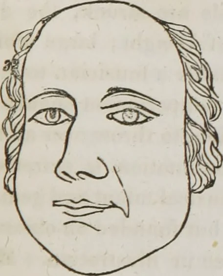 An illustration from Lectures on phrenology : including its application to the present and prospective condition of the United States, 1839, leaf 262