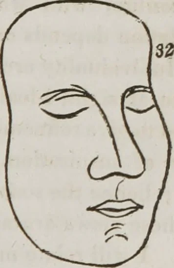 An illustration from Lectures on phrenology : including its application to the present and prospective condition of the United States, 1839, leaf 262