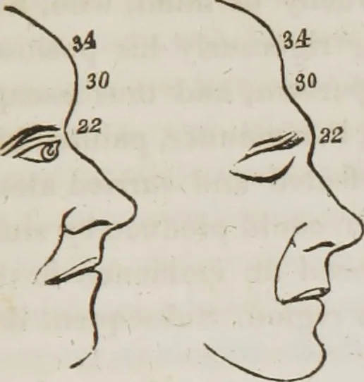 An illustration from Lectures on phrenology : including its application to the present and prospective condition of the United States, 1839, leaf 270
