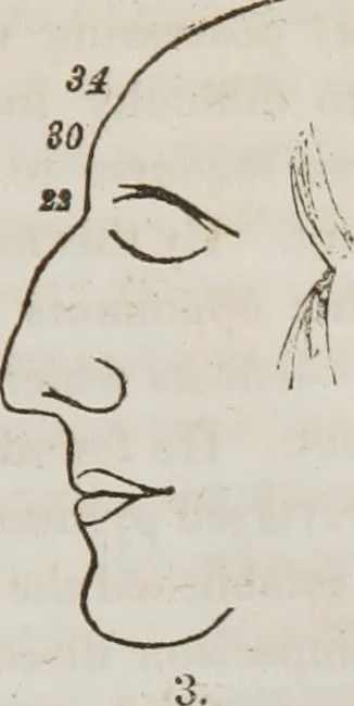 An illustration from Lectures on phrenology : including its application to the present and prospective condition of the United States, 1839, leaf 270