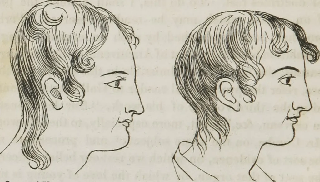 An illustration from Lectures on phrenology : including its application to the present and prospective condition of the United States, 1839, leaf 29