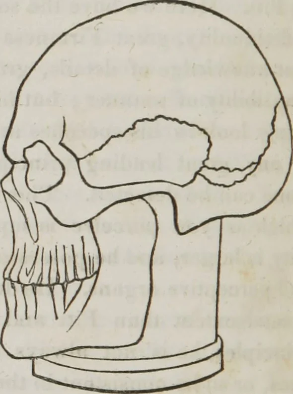 An illustration from Lectures on phrenology : including its application to the present and prospective condition of the United States, 1839, leaf 303