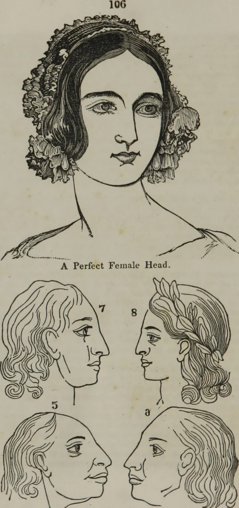 An illustration from Coombs's standard phrenology : exhibiting the exact phrenological admeasurements of above fifty distinguished and extraordinary personages, of both sexes : with skulls of the various nations of the world : embellished with above 50 engravings, and poetical descriptions of beauty, intellect, and physiognomy : with observations explanatory of the science, adapted to the character of [blank], 1841, leaf 105