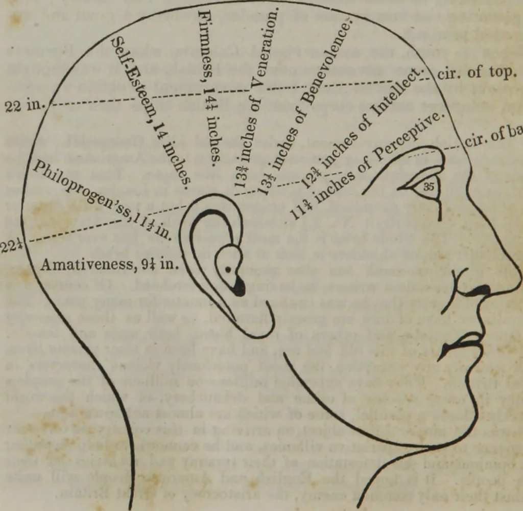 An illustration from Coombs's standard phrenology : exhibiting the exact phrenological admeasurements of above fifty distinguished and extraordinary personages, of both sexes : with skulls of the various nations of the world : embellished with above 50 engravings, and poetical descriptions of beauty, intellect, and physiognomy : with observations explanatory of the science, adapted to the character of [blank], 1841, leaf 115
