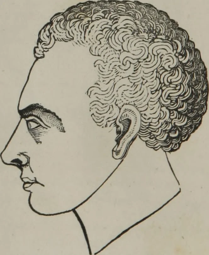 An illustration from Coombs's standard phrenology : exhibiting the exact phrenological admeasurements of above fifty distinguished and extraordinary personages, of both sexes : with skulls of the various nations of the world : embellished with above 50 engravings, and poetical descriptions of beauty, intellect, and physiognomy : with observations explanatory of the science, adapted to the character of [blank], 1841, leaf 37