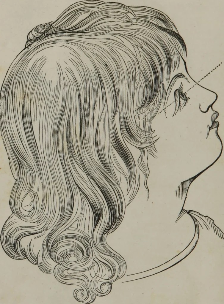 An illustration from Coombs's standard phrenology : exhibiting the exact phrenological admeasurements of above fifty distinguished and extraordinary personages, of both sexes : with skulls of the various nations of the world : embellished with above 50 engravings, and poetical descriptions of beauty, intellect, and physiognomy : with observations explanatory of the science, adapted to the character of [blank], 1841, leaf 49