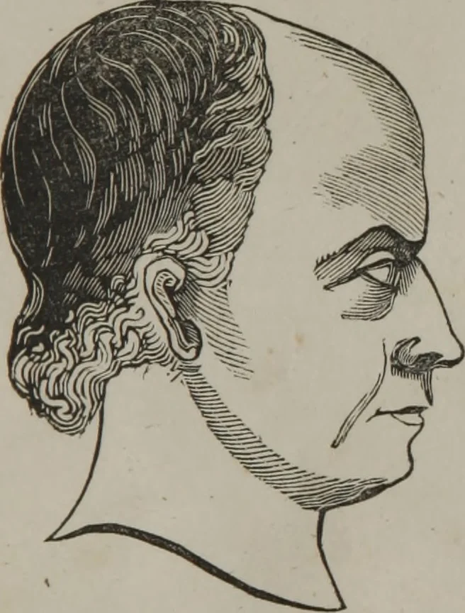 An illustration from Coombs's standard phrenology : exhibiting the exact phrenological admeasurements of above fifty distinguished and extraordinary personages, of both sexes : with skulls of the various nations of the world : embellished with above 50 engravings, and poetical descriptions of beauty, intellect, and physiognomy : with observations explanatory of the science, adapted to the character of [blank], 1841, leaf 52