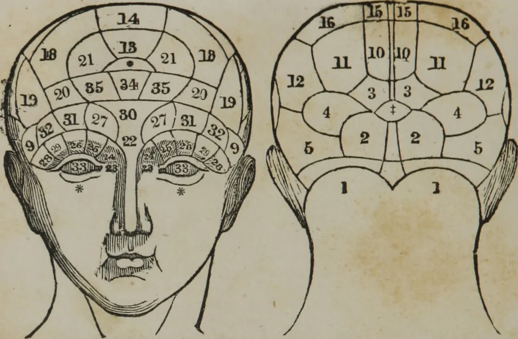 An illustration from Coombs's standard phrenology : exhibiting the exact phrenological admeasurements of above fifty distinguished and extraordinary personages, of both sexes : with skulls of the various nations of the world : embellished with above 50 engravings, and poetical descriptions of beauty, intellect, and physiognomy : with observations explanatory of the science, adapted to the character of [blank], 1841, leaf 73