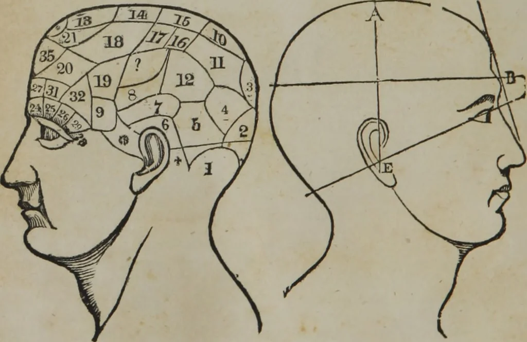 An illustration from Coombs's standard phrenology : exhibiting the exact phrenological admeasurements of above fifty distinguished and extraordinary personages, of both sexes : with skulls of the various nations of the world : embellished with above 50 engravings, and poetical descriptions of beauty, intellect, and physiognomy : with observations explanatory of the science, adapted to the character of [blank], 1841, leaf 73