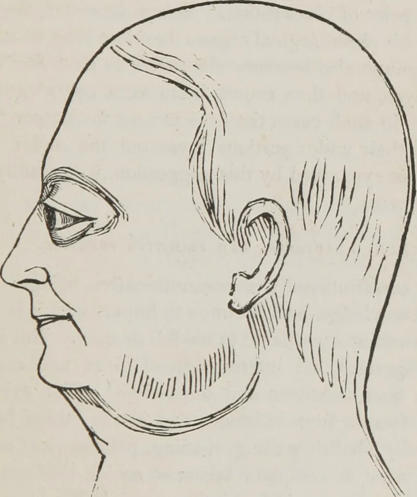 An illustration from Memory and intellectual improvement applied to self-education and juvenile instruction, 1850, leaf 124