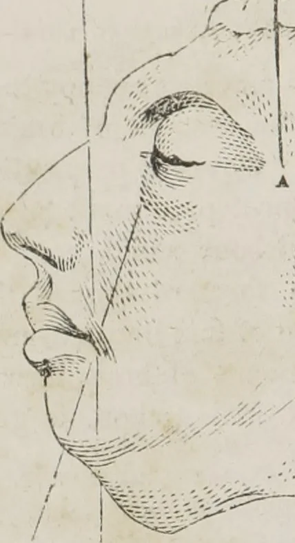 An illustration from Memory and intellectual improvement applied to self-education and juvenile instruction, 1850, leaf 27