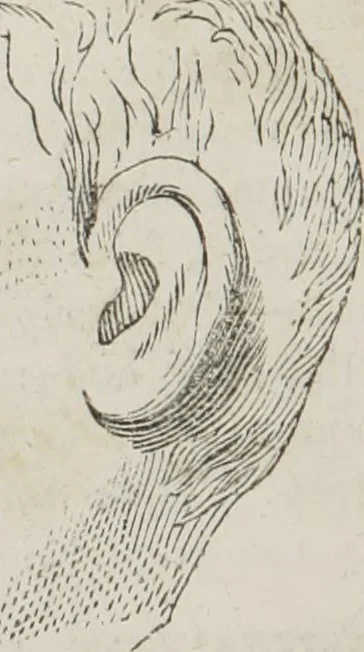 An illustration from Memory and intellectual improvement applied to self-education and juvenile instruction, 1850, leaf 27