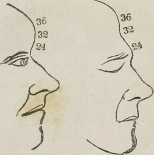 An illustration from Memory and intellectual improvement applied to self-education and juvenile instruction, 1850, leaf 33