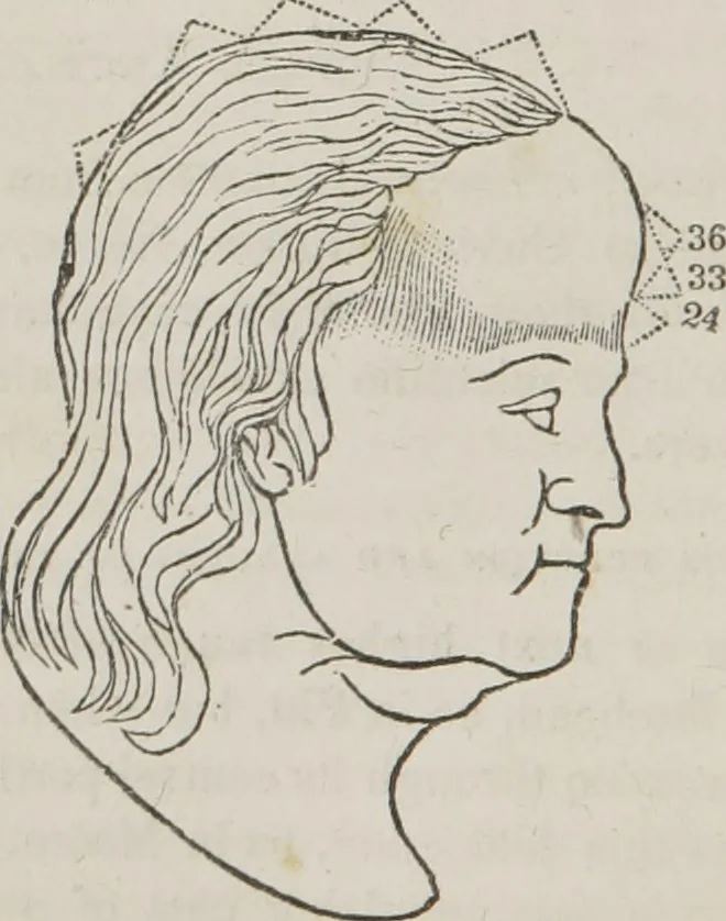 An illustration from Memory and intellectual improvement applied to self-education and juvenile instruction, 1850, leaf 33
