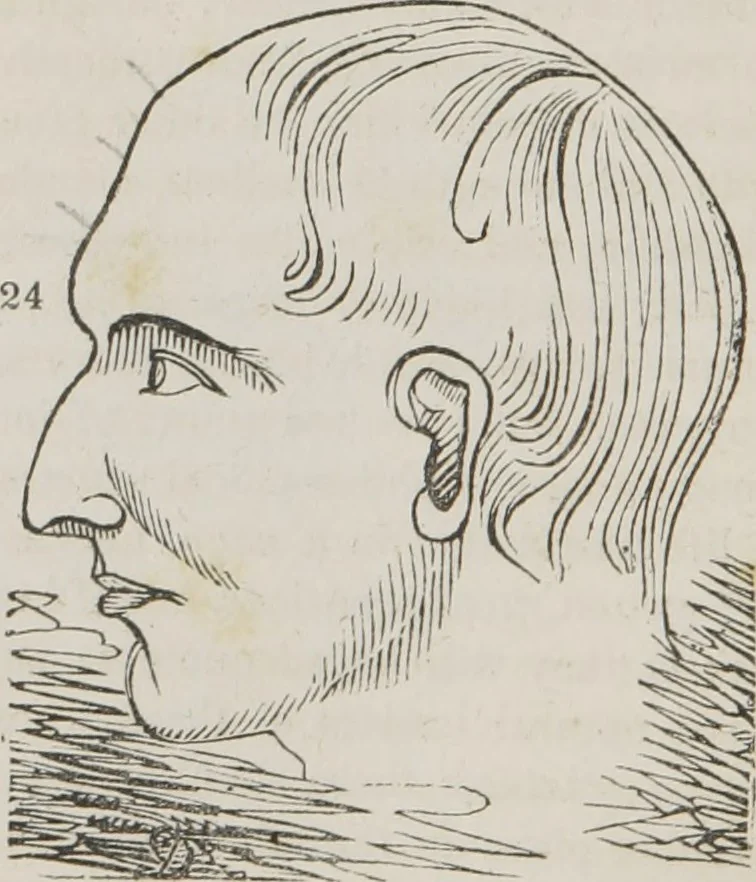An illustration from Memory and intellectual improvement applied to self-education and juvenile instruction, 1850, leaf 35