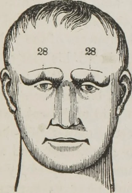 An illustration from Memory and intellectual improvement applied to self-education and juvenile instruction, 1850, leaf 60