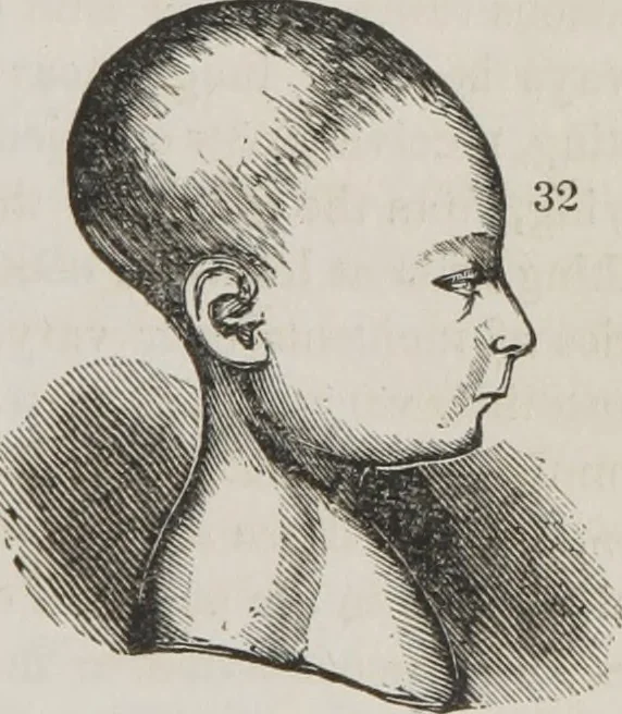 An illustration from Memory and intellectual improvement applied to self-education and juvenile instruction, 1850, leaf 82