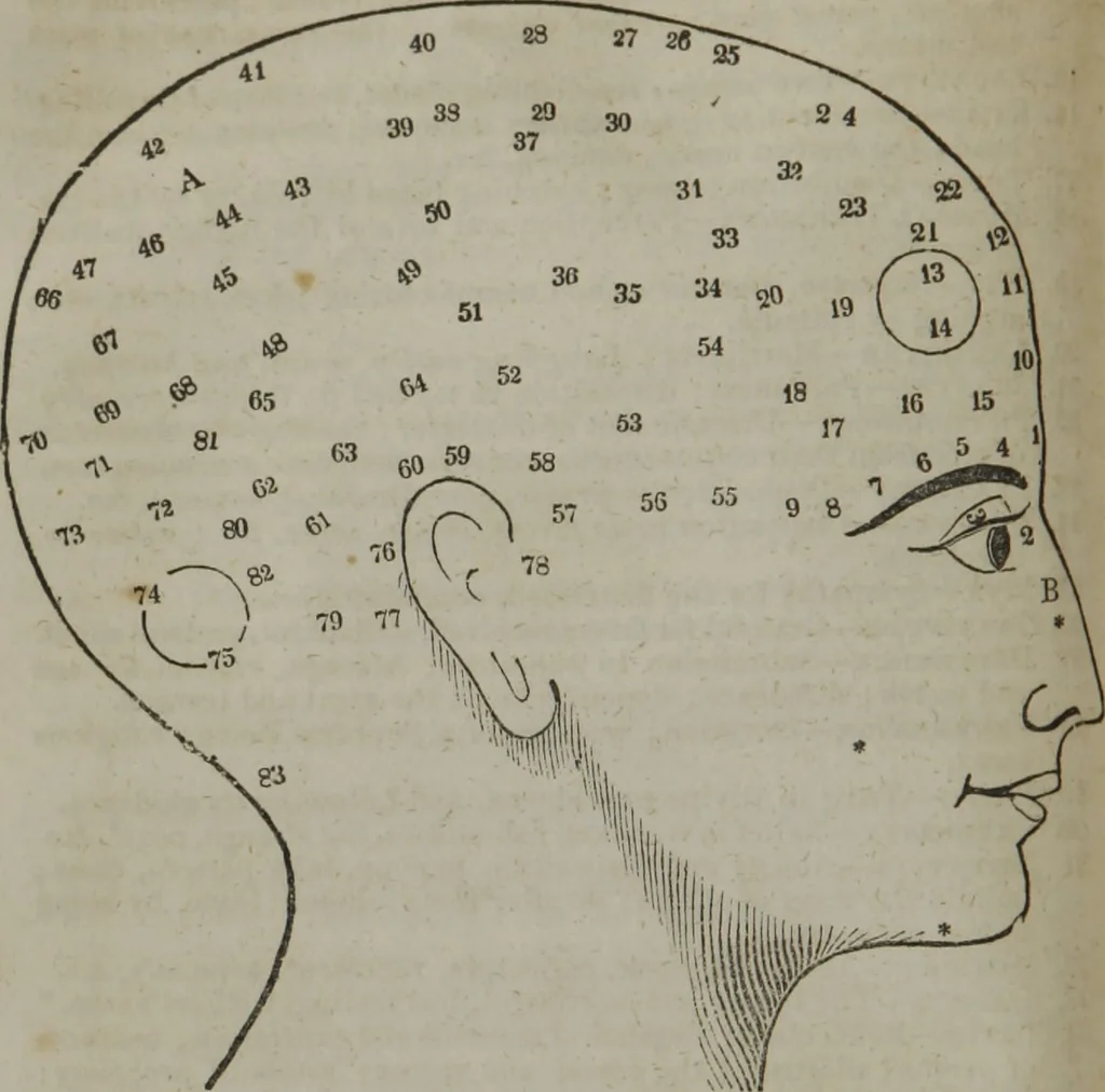 An illustration from Fowler's practical phrenology : giving a concise elementary view of phrenology : presenting some new and important remarks upon the temperaments : and describing the primary mental powers in seven different degrees of development : the mental phenomena produced by their combined action : and the location of the organs, amply illustrated by cuts : also the phrenological developments, together with the character and talents of ... as given by ..., 1846, leaf 65