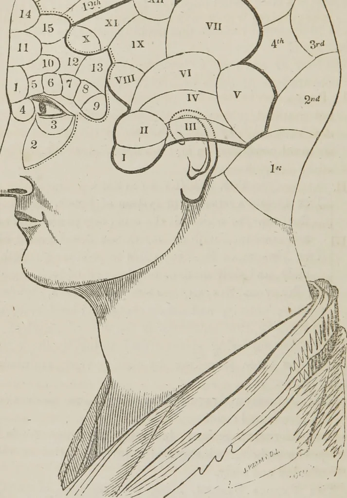 An illustration from Etherology, or, The philosophy of mesmerism and phrenology : including a new philosophy of sleep and of consciousness : with a review of the pretensions of neurology and phreno-magnetism, 1845, leaf 165