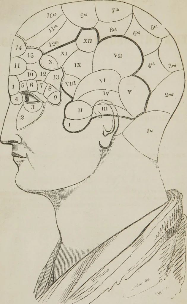 An illustration from Etherology, or, The philosophy of mesmerism and phrenology : including a new philosophy of sleep and of consciousness : with a review of the pretensions of neurology and phreno-magnetism, 1845, leaf 3