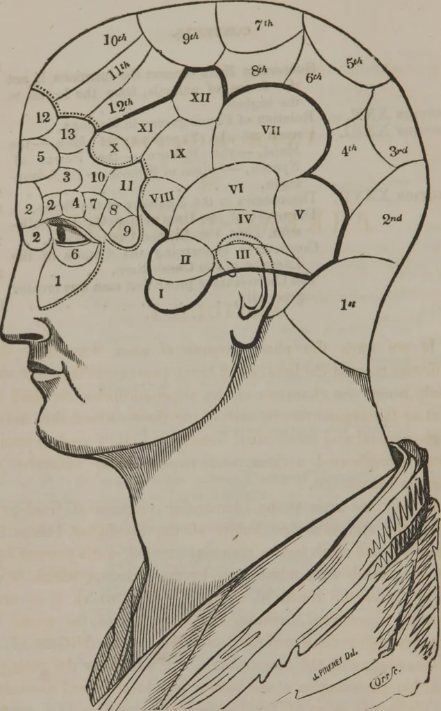 An illustration from Phreno-geology : the progressive creation of man : indicated by natural history, and confirmed by discoveries which connect the organization and functions of the brain with the successive geological periods, 1851, leaf 13