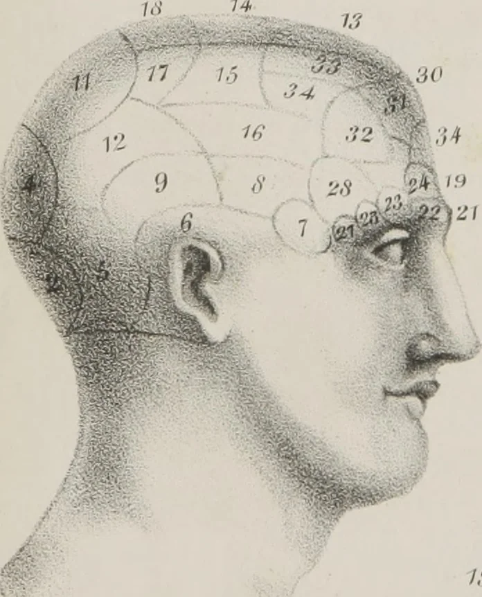 An illustration from An examination of phrenology : in two lectures : delivered to the students of the Columbian College, District of Columbia, February, 1837, 1839, leaf 15