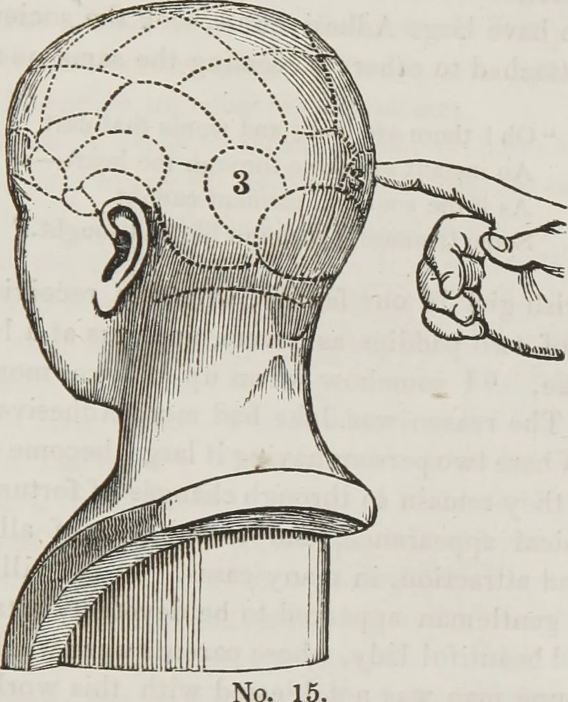 An illustration from Marriage, its history and ceremonies : with a phrenological and physiological exposition of the functions and qualifications for happy marriages, 1848, leaf 102